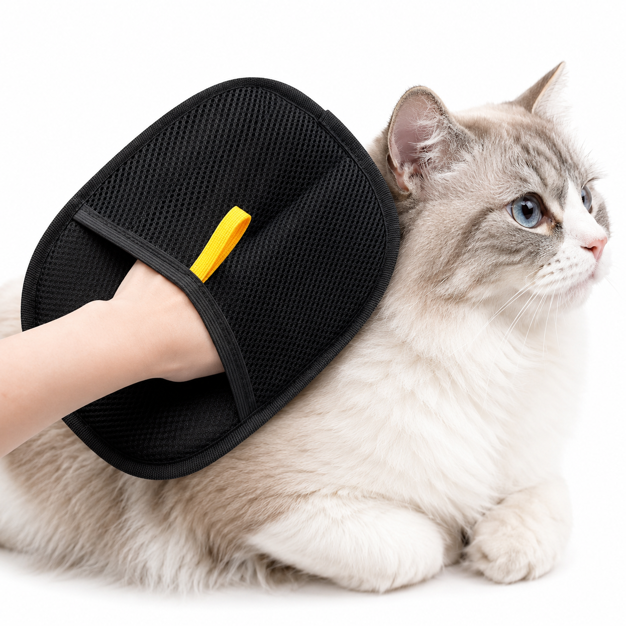 Guante de Cepillado para Gatos